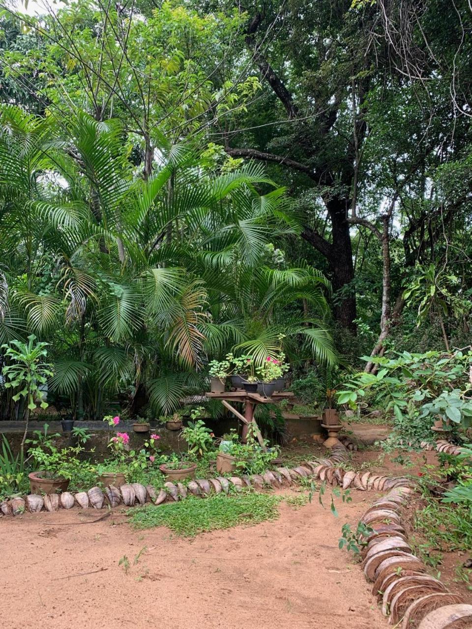 Manju Homestay Sigiriya Exterior photo