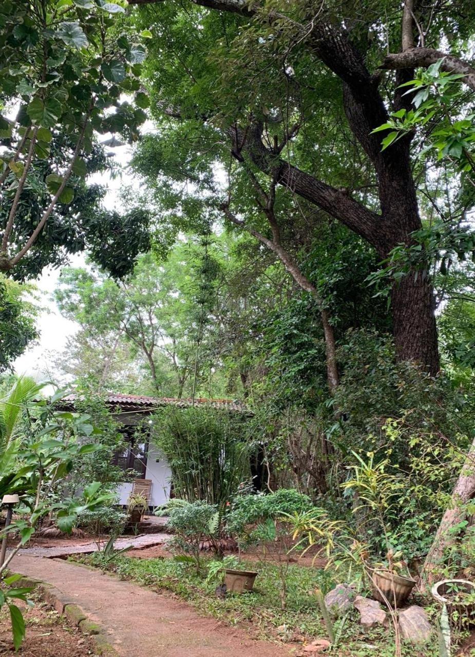 Manju Homestay Sigiriya Exterior photo